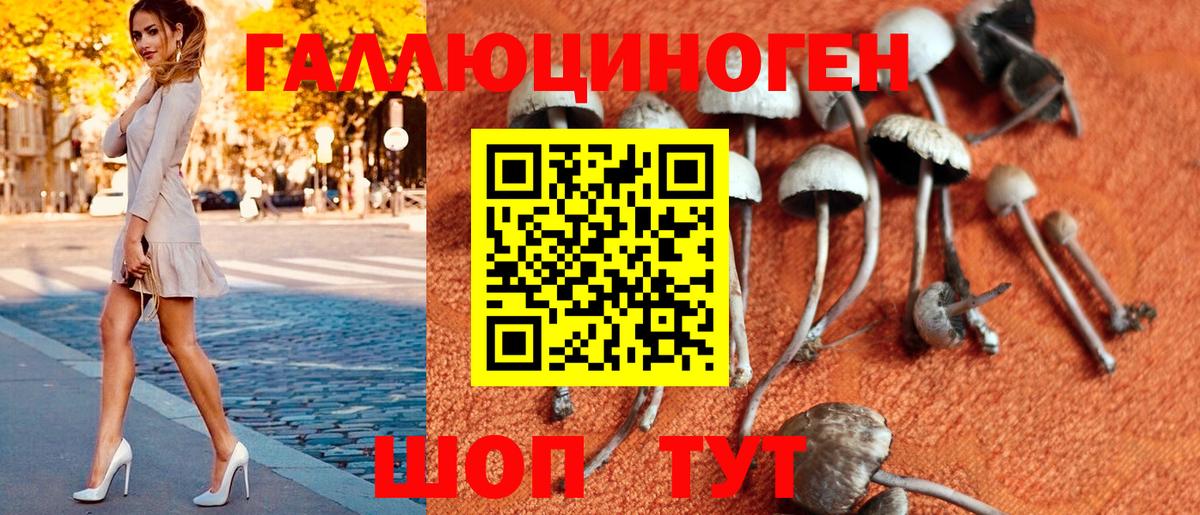 Галлюциногенные грибы Magic Shrooms Минусинск