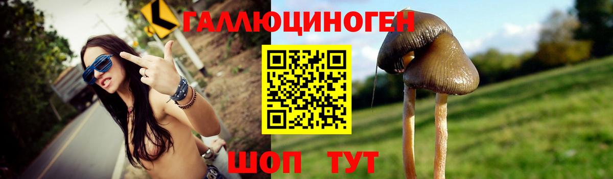 где продают   Галлюциногенные грибы Psilocybe  Вход с VPN  Минусинск 